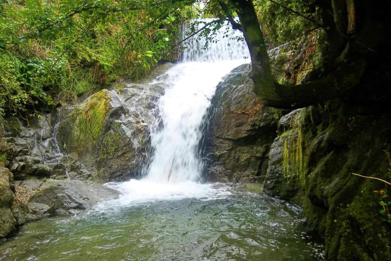 Affittacamere Trattoria Della Cascata Oggebbio Exterior foto